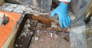 Water Damage Homewood Tech Soaking Drywall Debris 